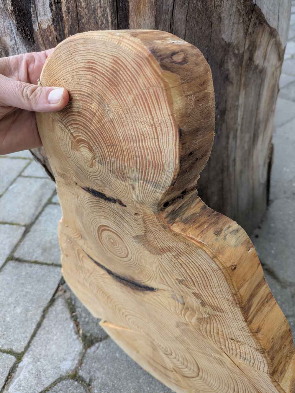 Baumscheibe Glockenform geschliffen & geölt