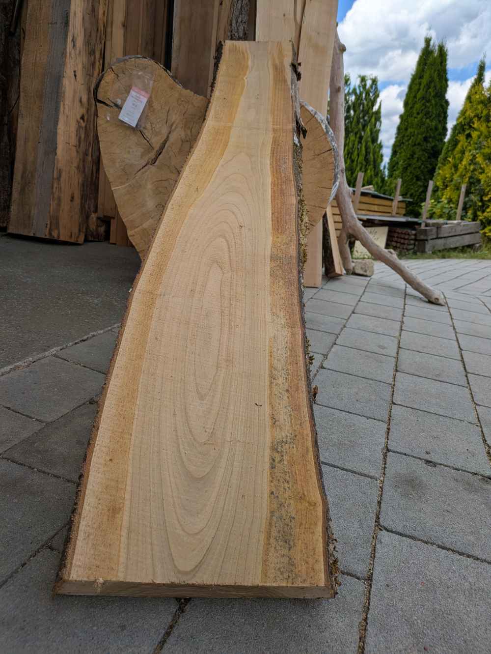 Brett Kirsche mit Rinde