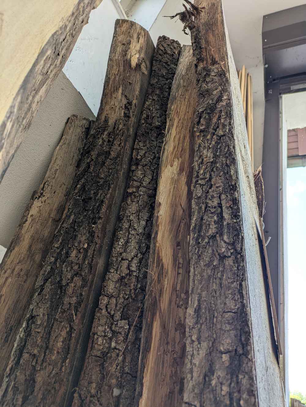 Eiche Bohle mit Baumkante