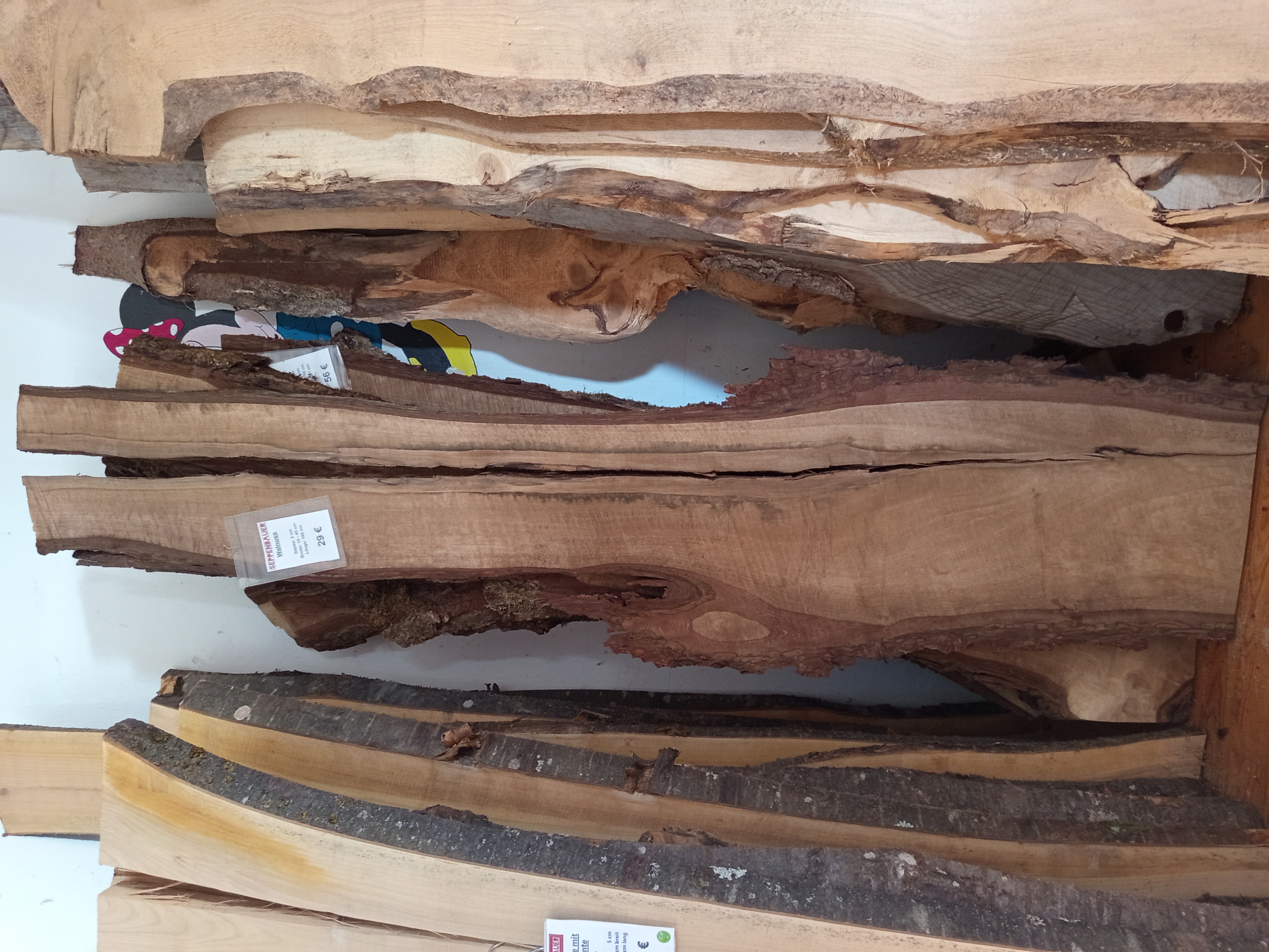 Holzbohle mit Baumkante und Riss