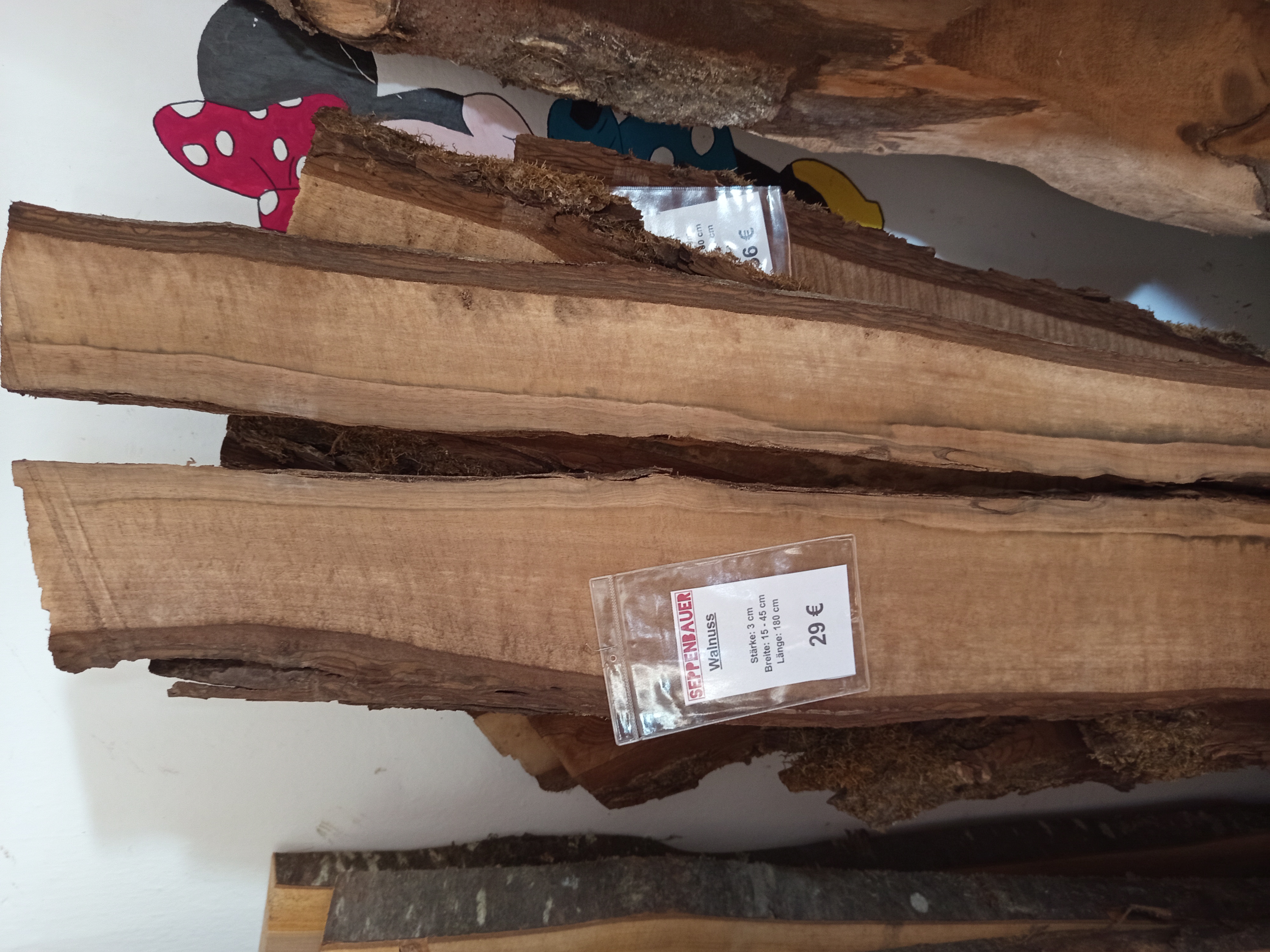 Holzbohle mit Baumkante und Riss