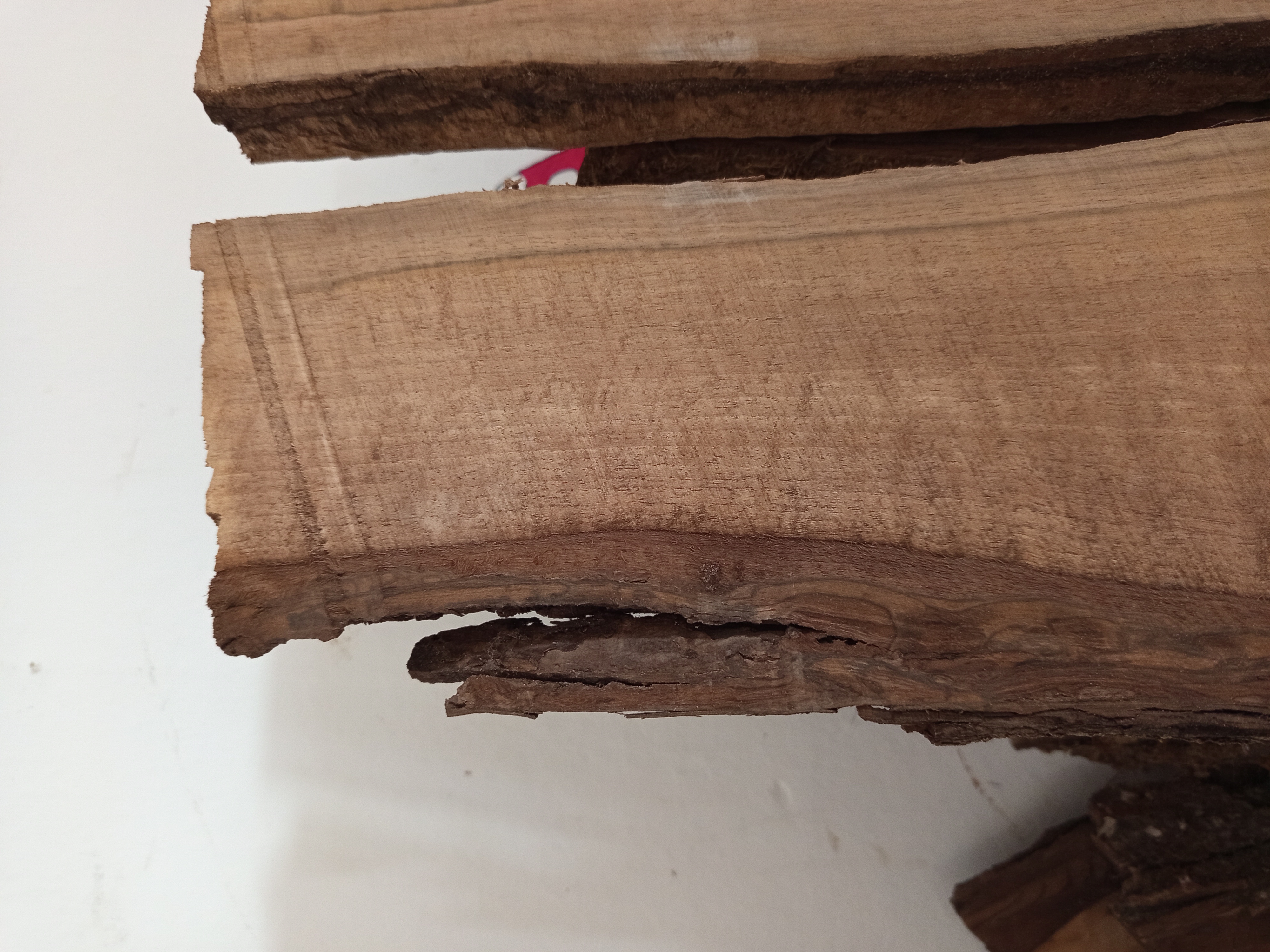 Holzbohle mit Baumkante und Riss