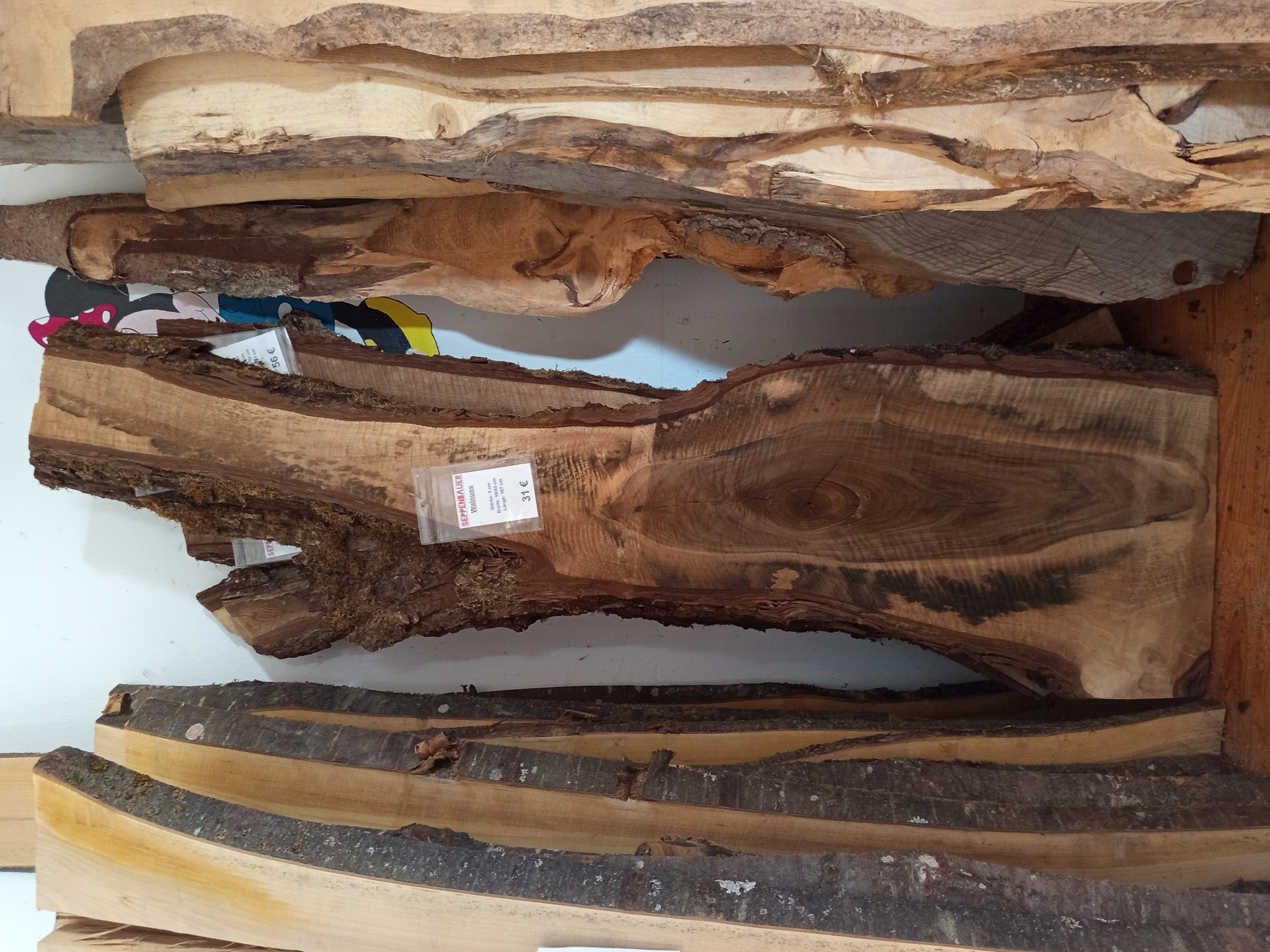 Holzbohle mit Baumrinde Y-Form