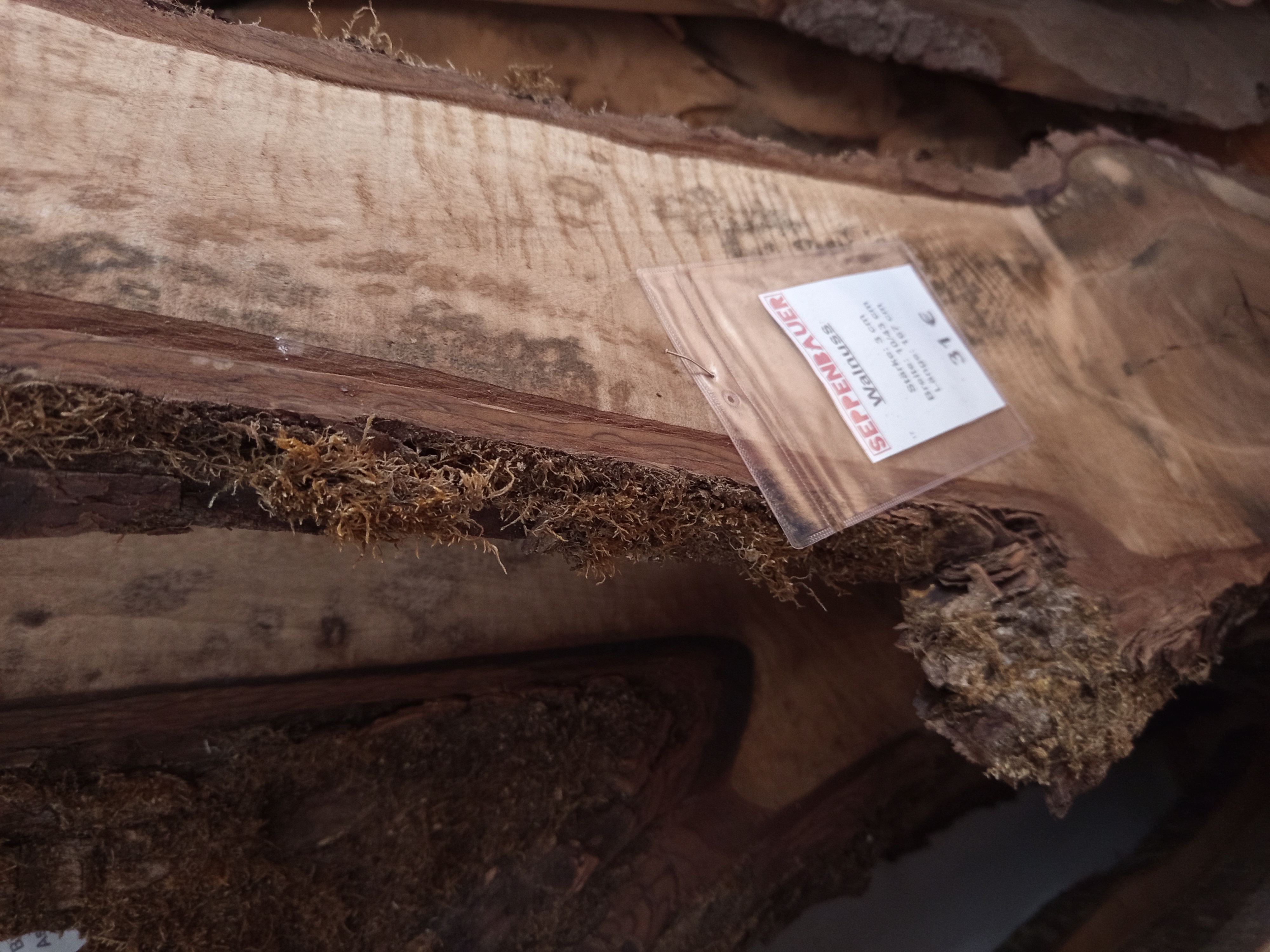 Holzbohle mit Baumrinde Y-Form