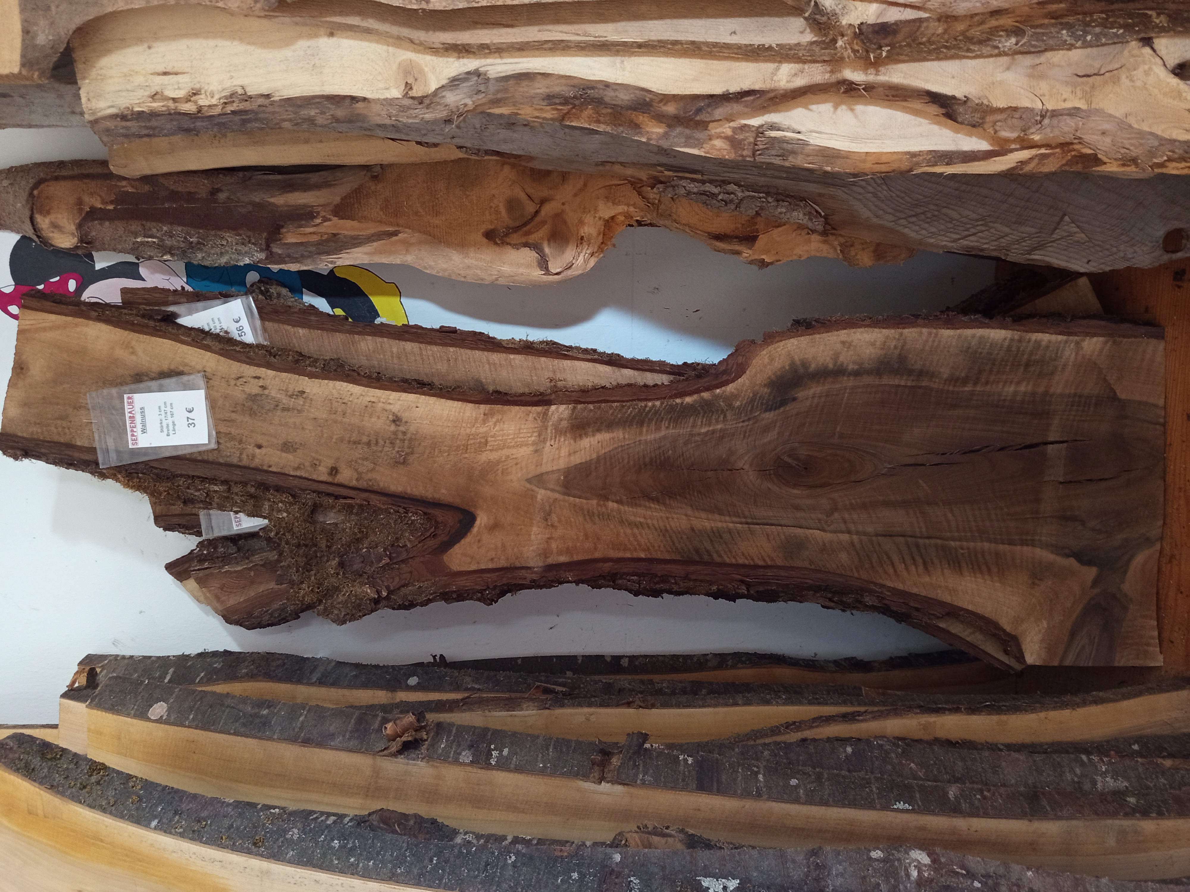 Holzbohle mit Baumkante und Astgabel