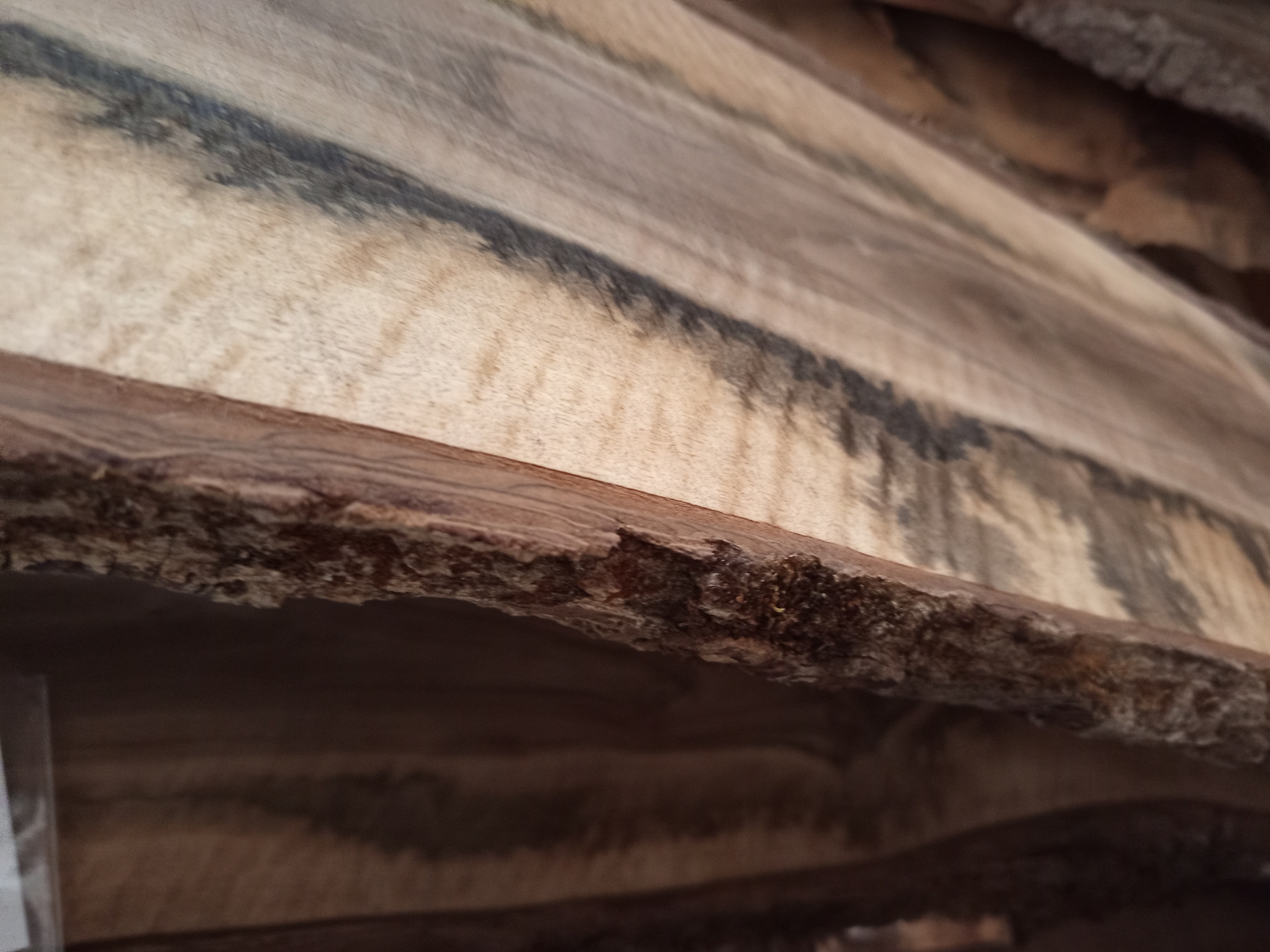 Holzbohle mit Baumkante