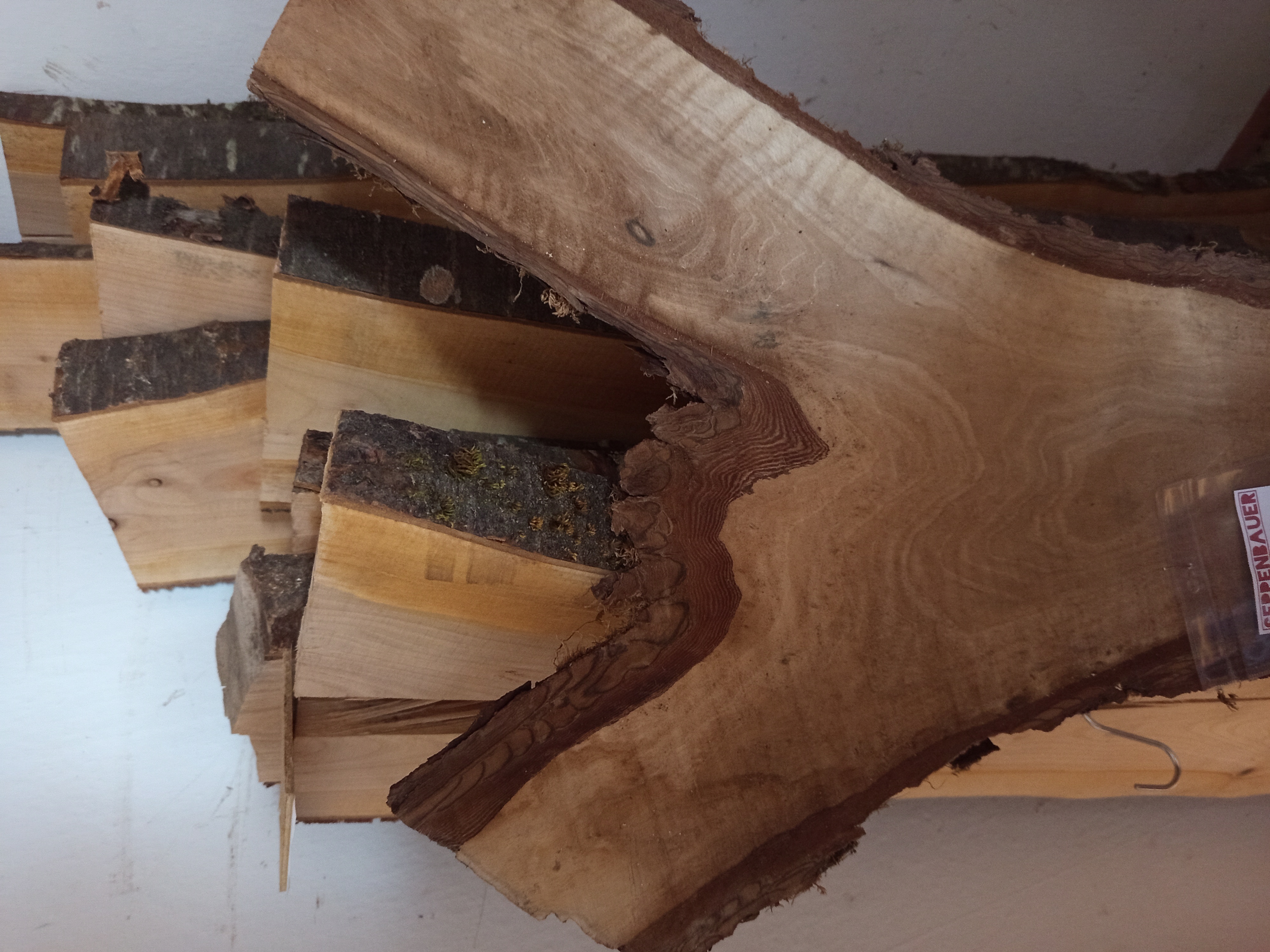 Holzbohle mit Baumkante in Y-Form