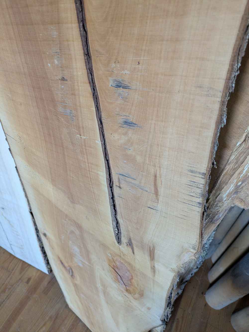 Holzbohle mit Baumkante