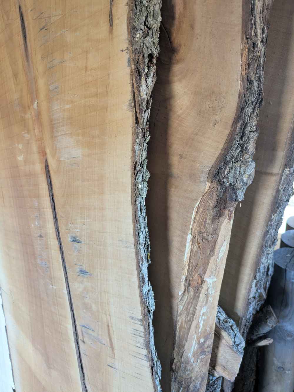 Holzbohle mit Baumkante