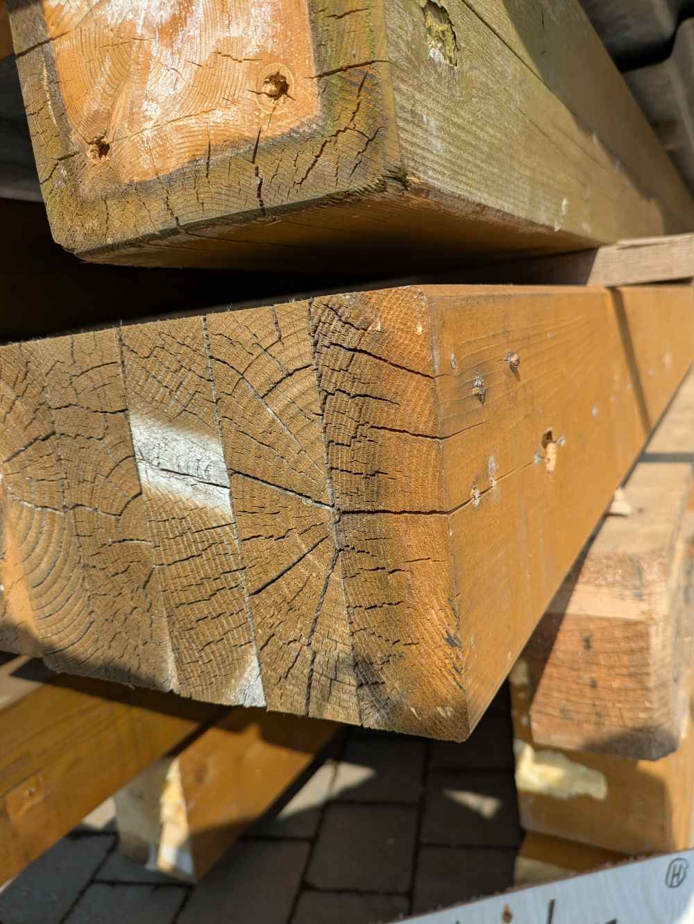 Leimbinder (gebraucht)