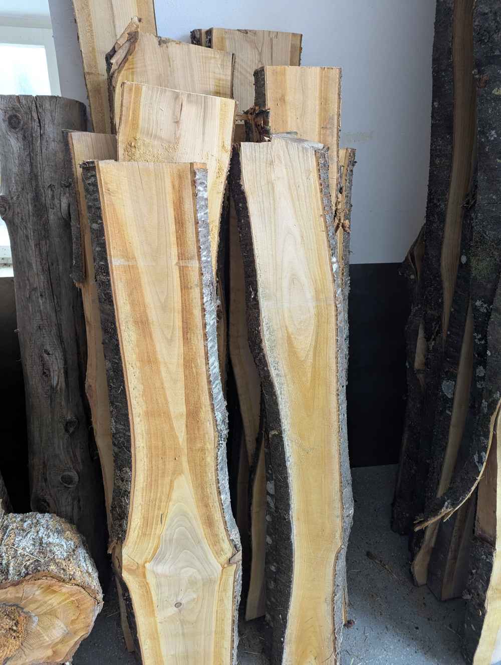 Holzbohle mit Baumkante