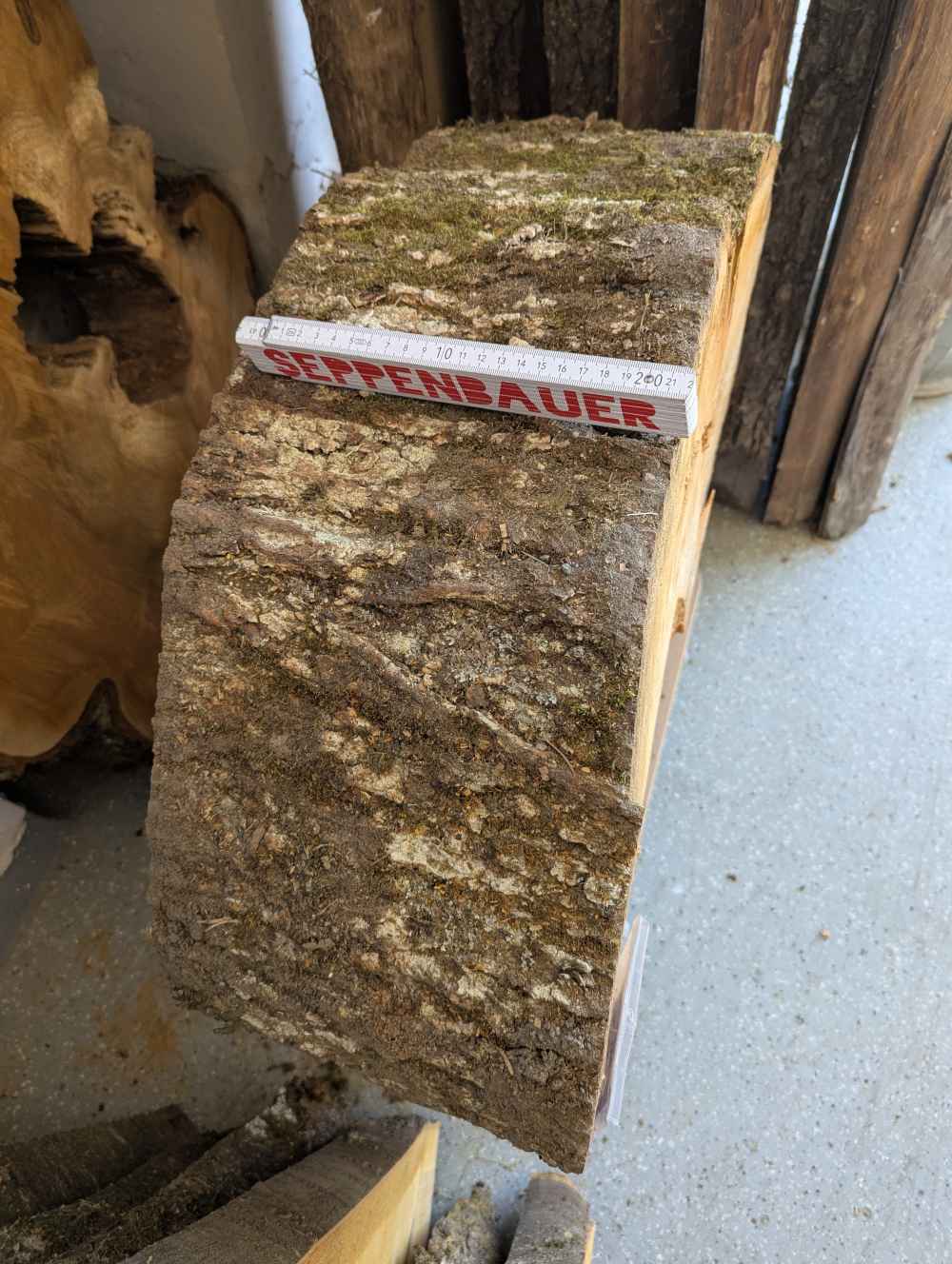 Baumscheibe groß (Nr.1)