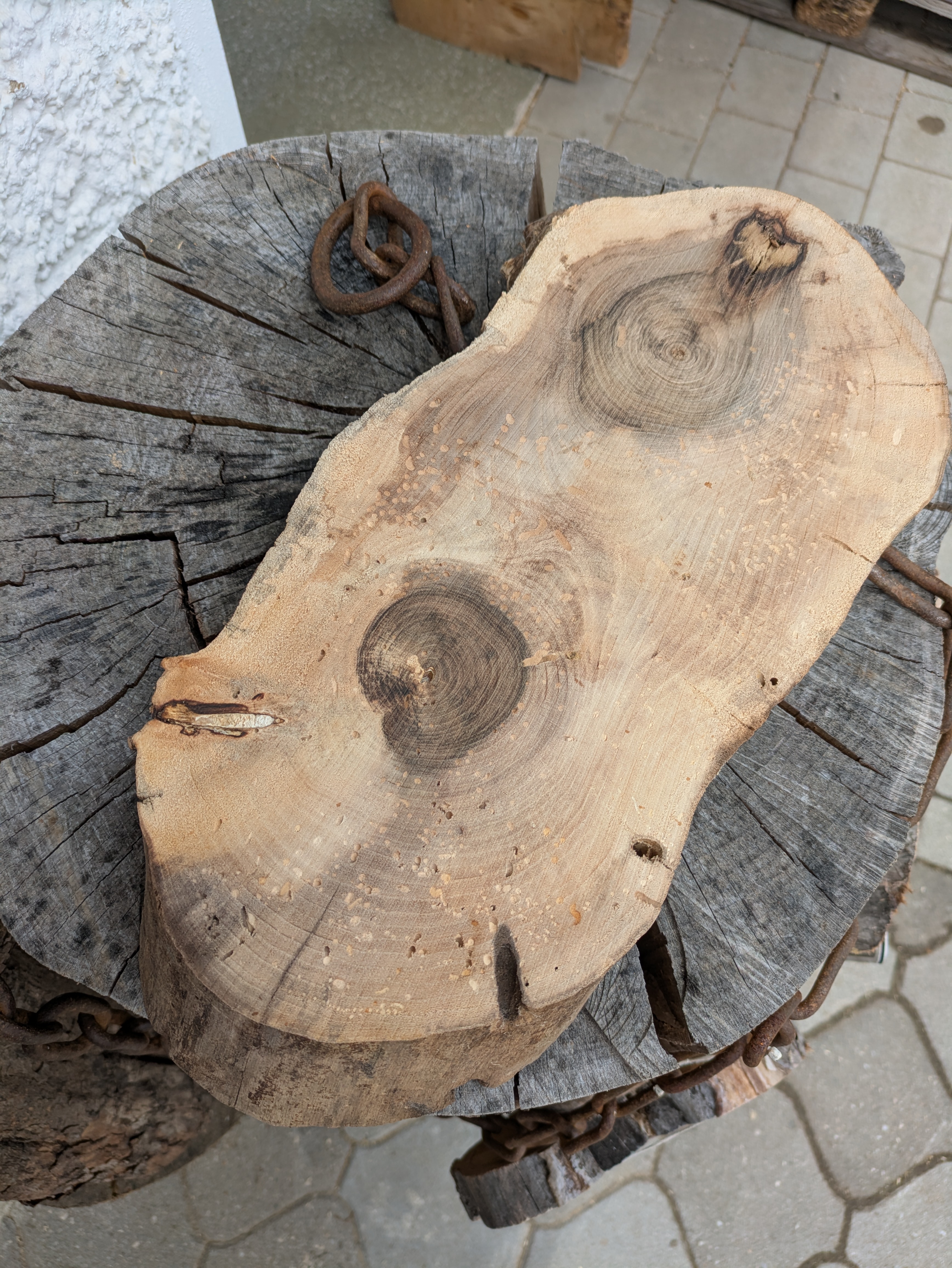 Baumscheibe länglich