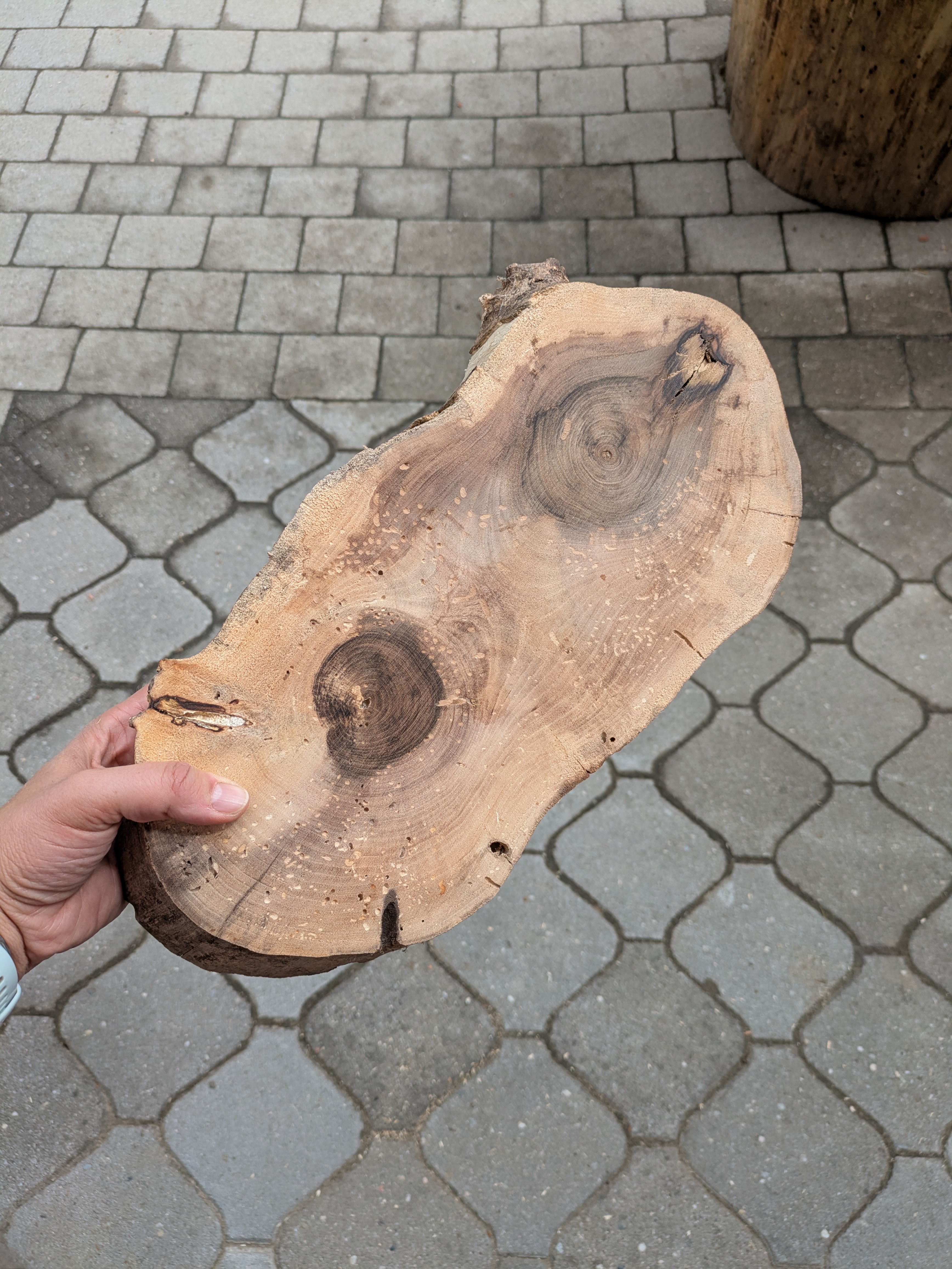 Baumscheibe länglich
