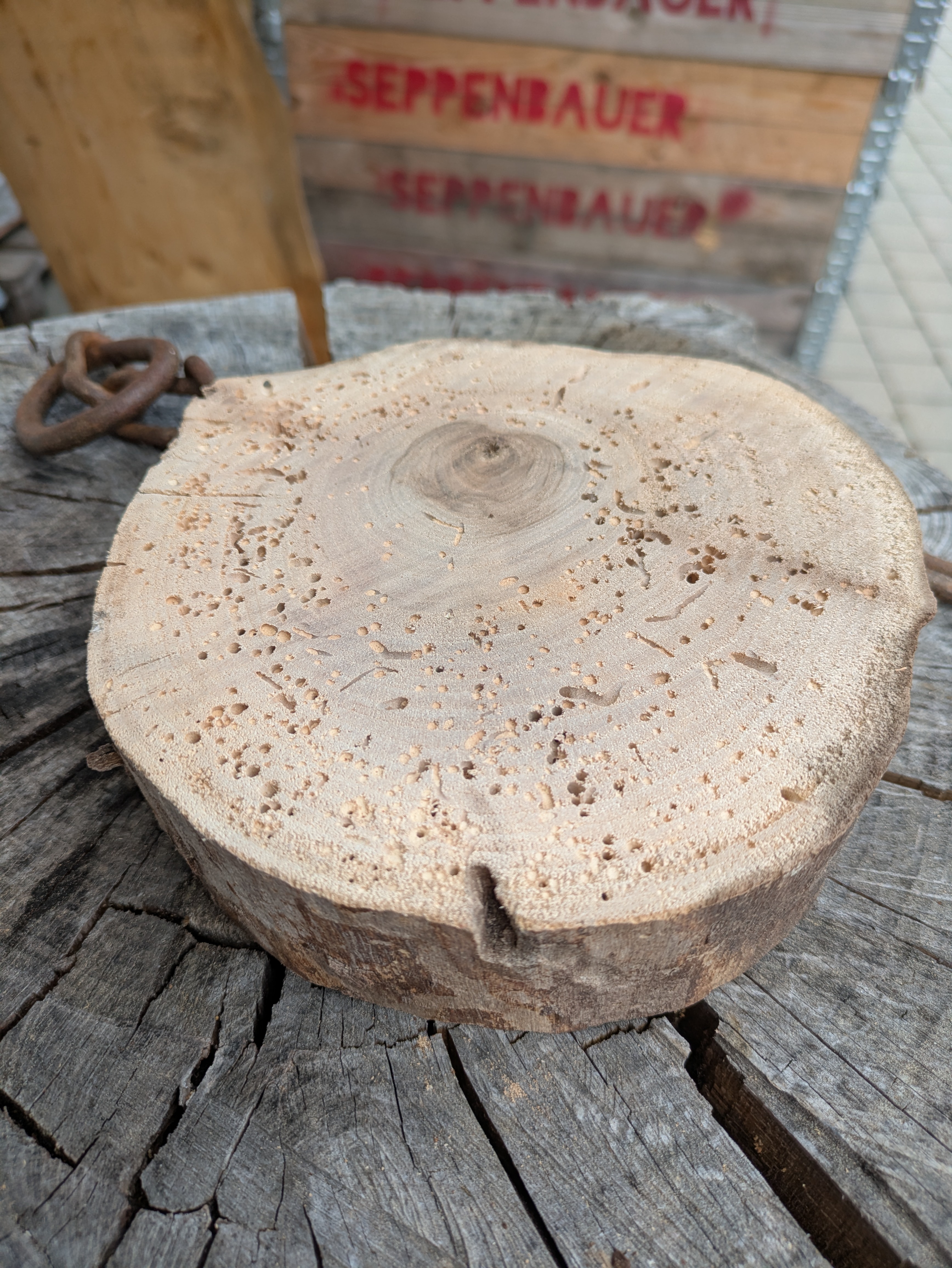 Baumscheibe