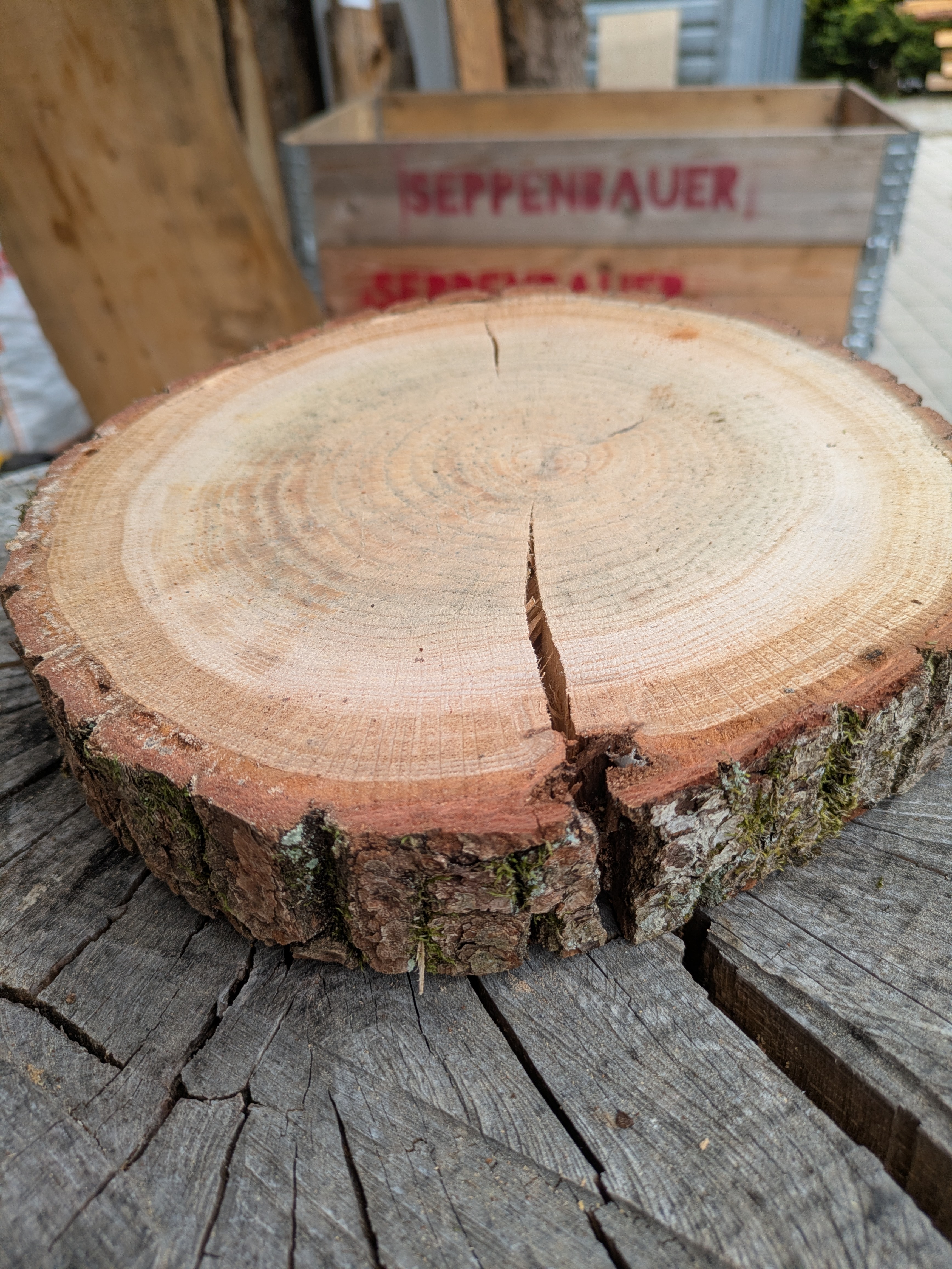 Baumscheibe