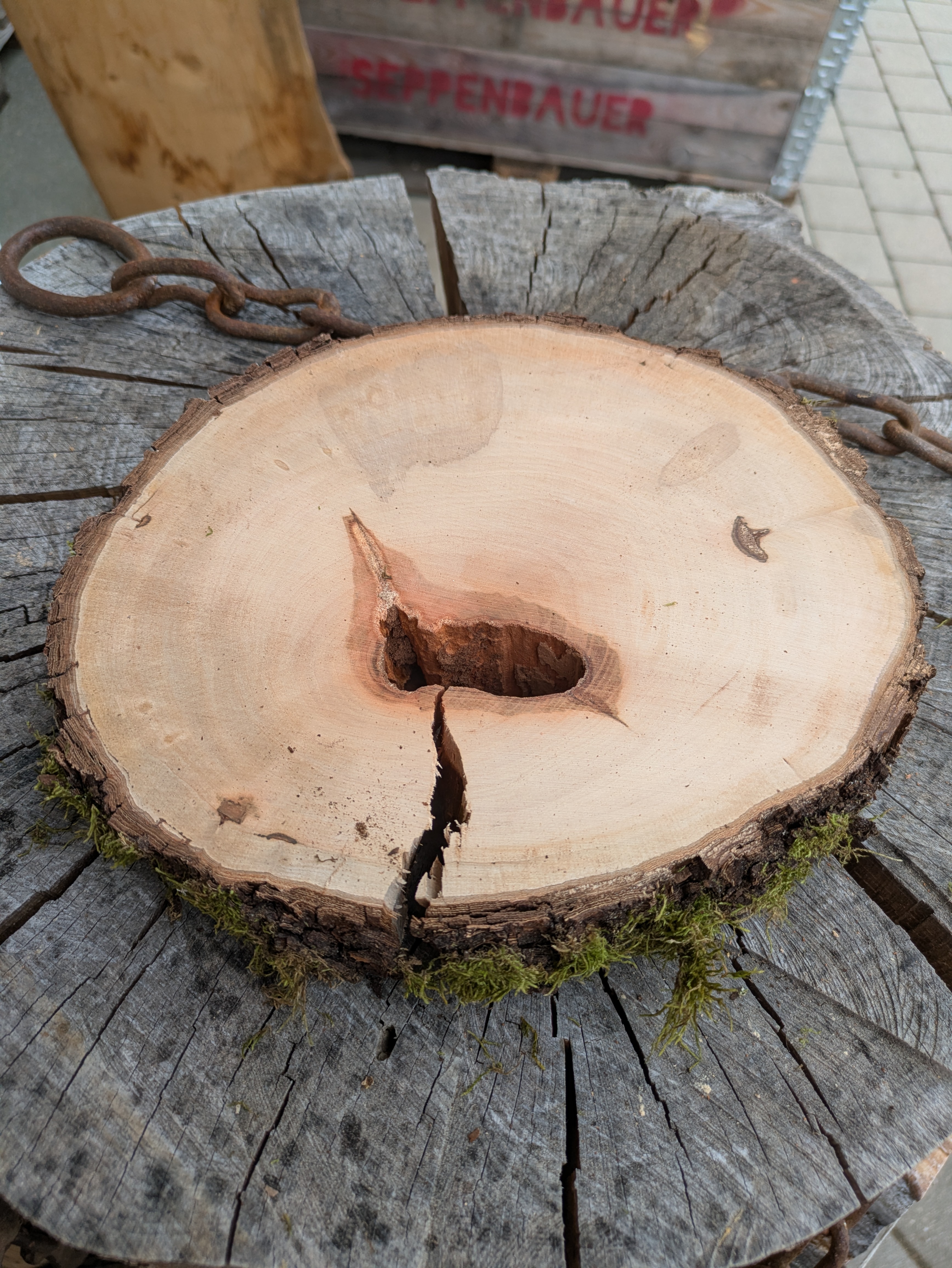 Baumscheibe