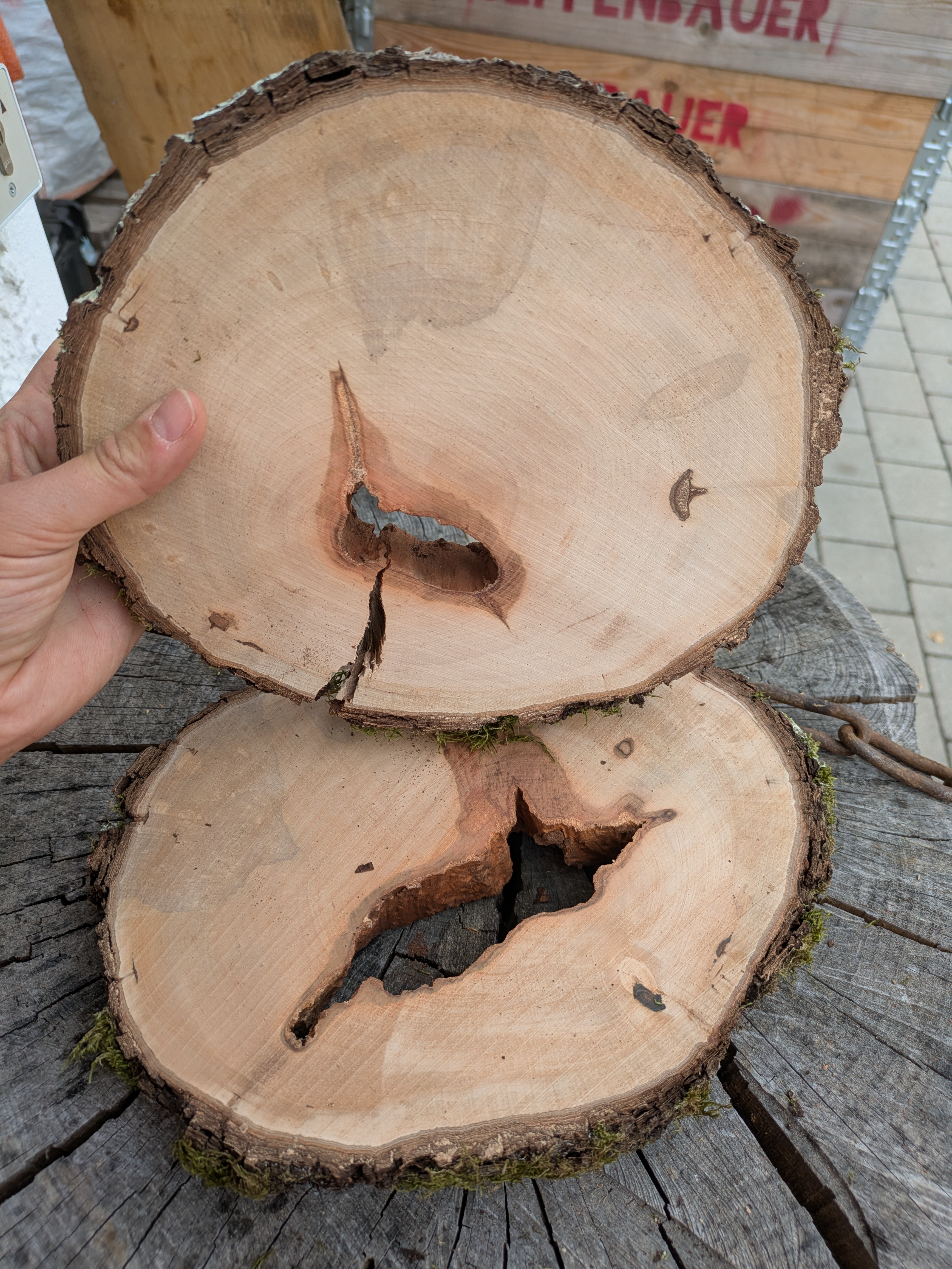 Baumscheibe