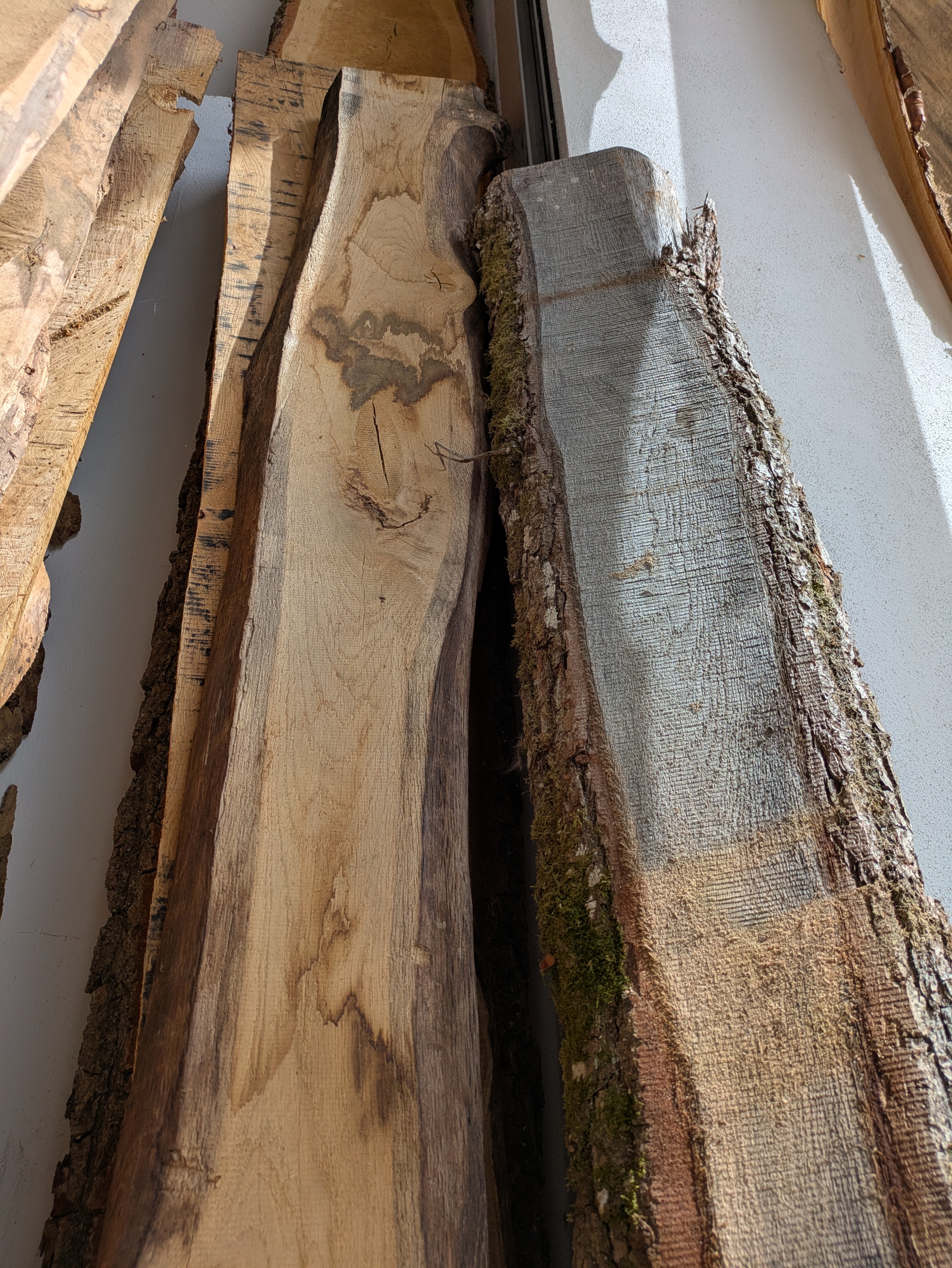 Holzbohle mit Baumkante