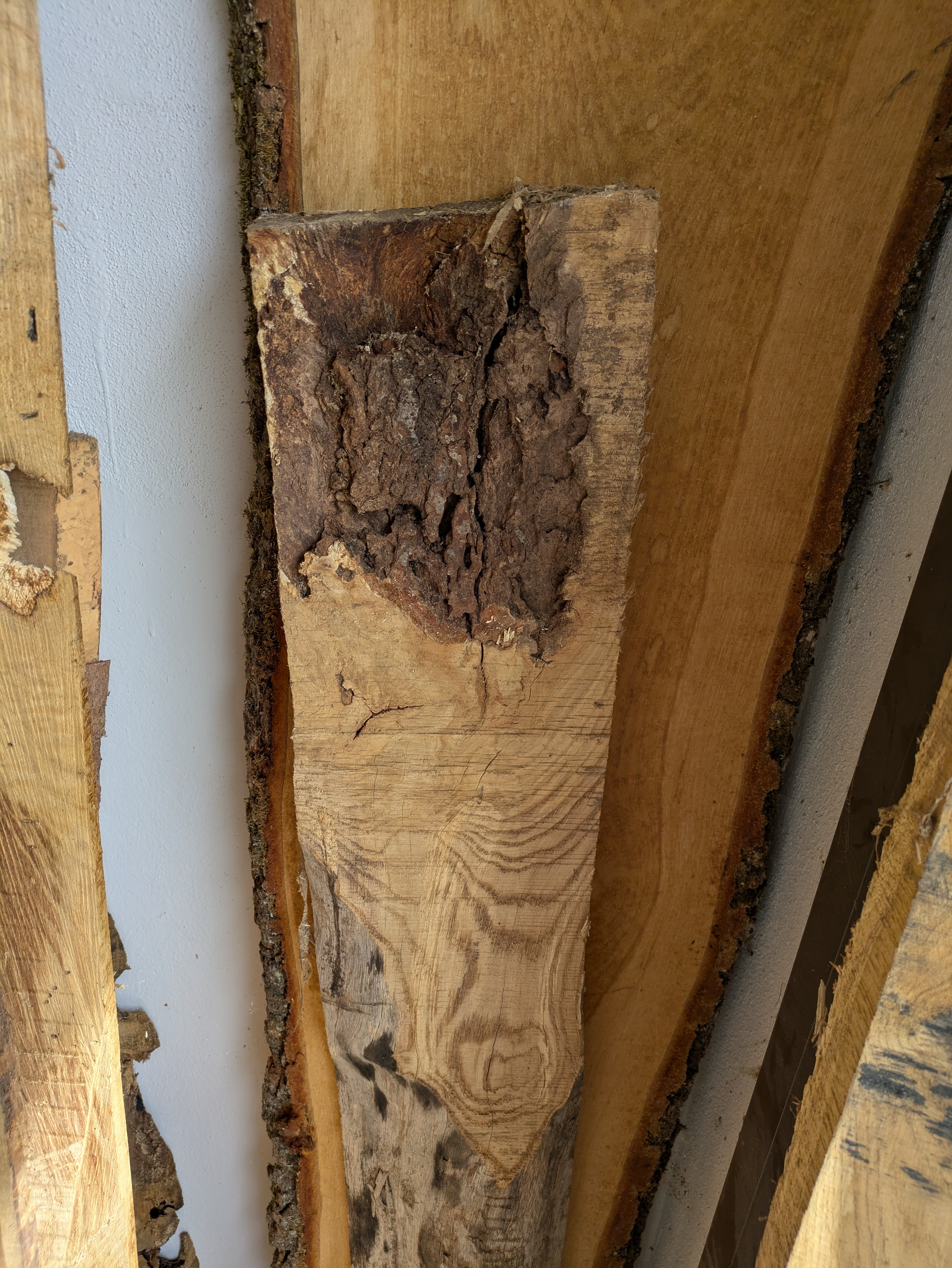 Holzbohle Brett grob teilweise Baumkante