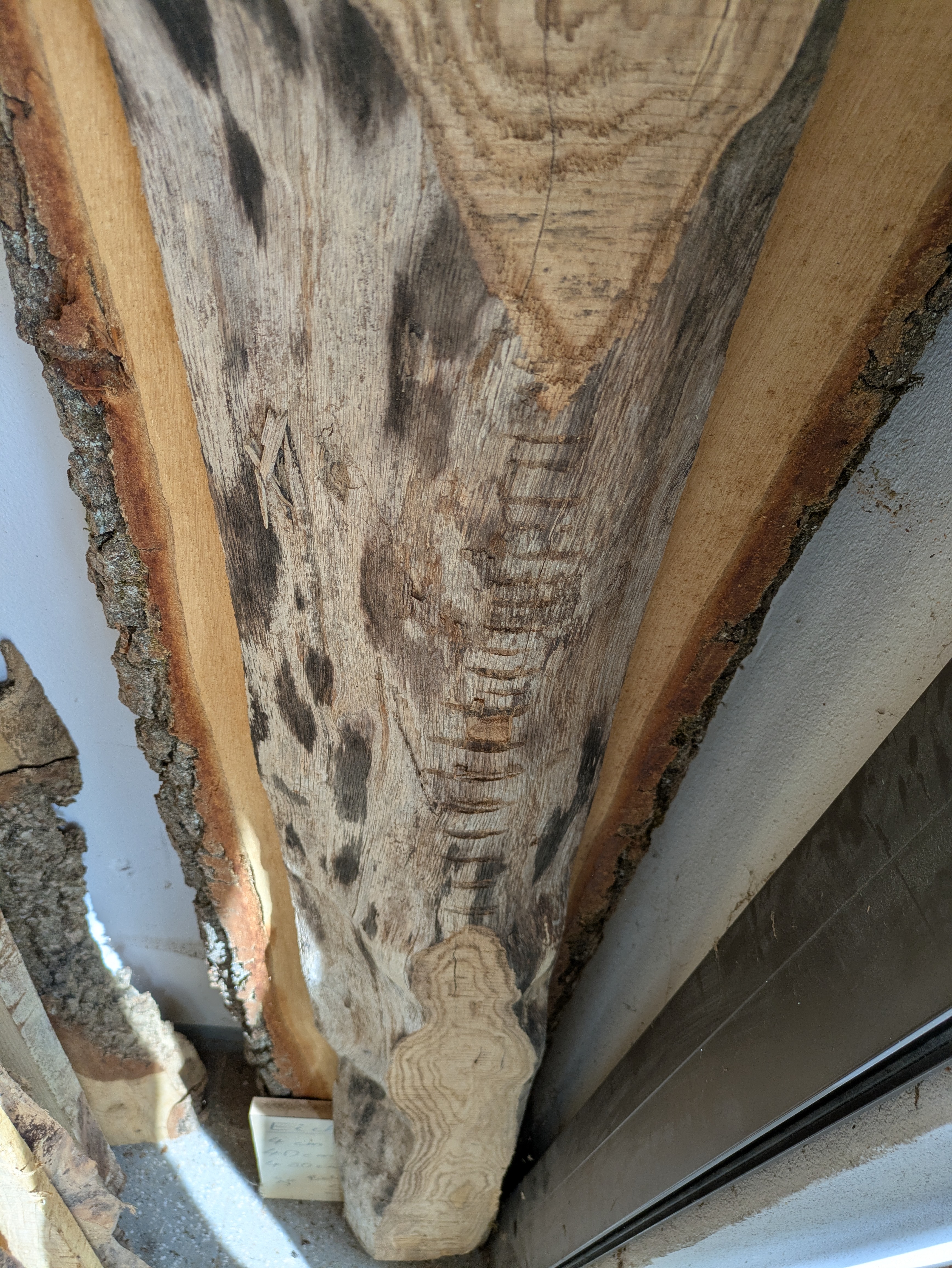 Holzbohle Brett grob teilweise Baumkante