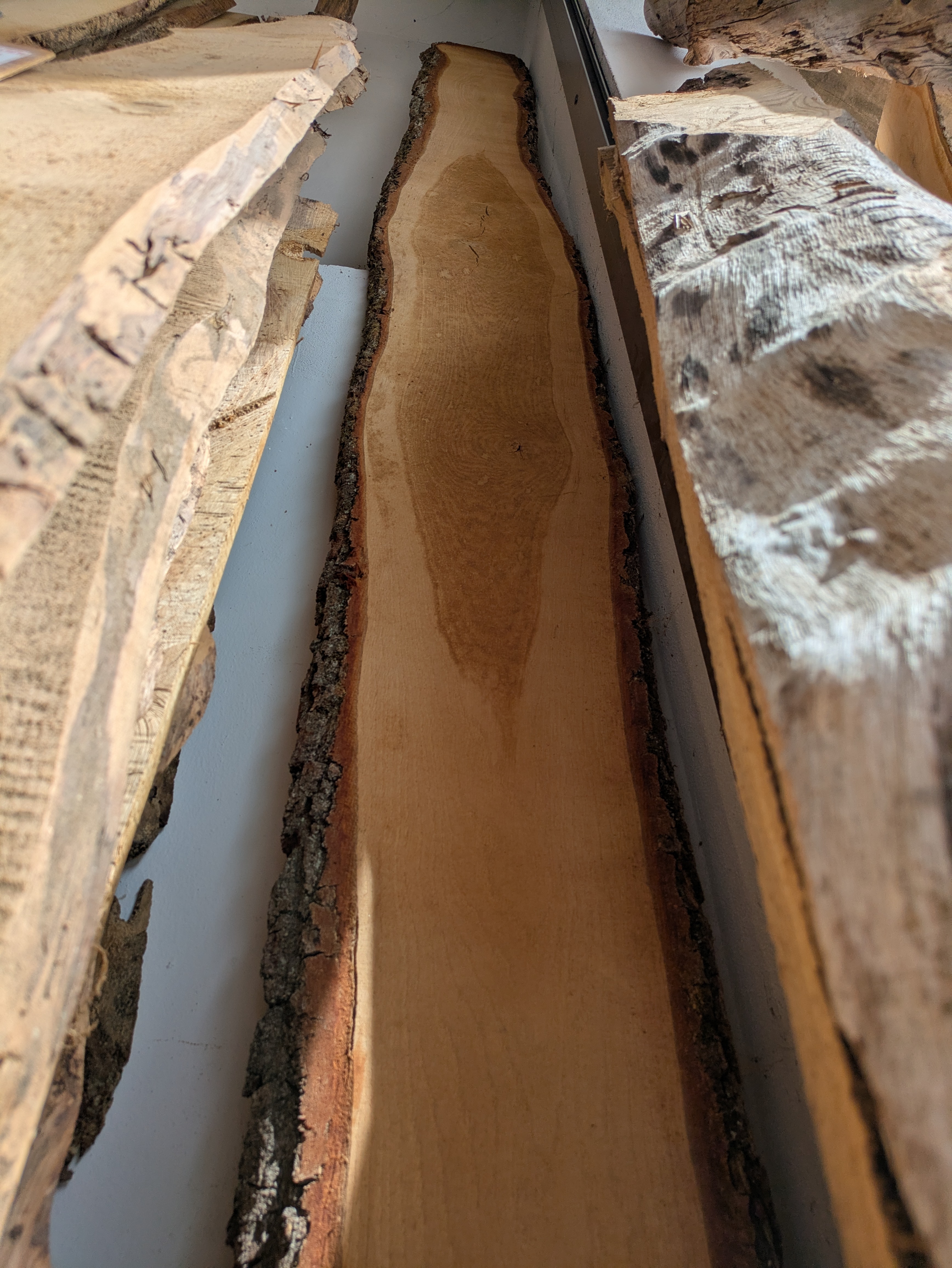 Holzbohle mit Baumkante