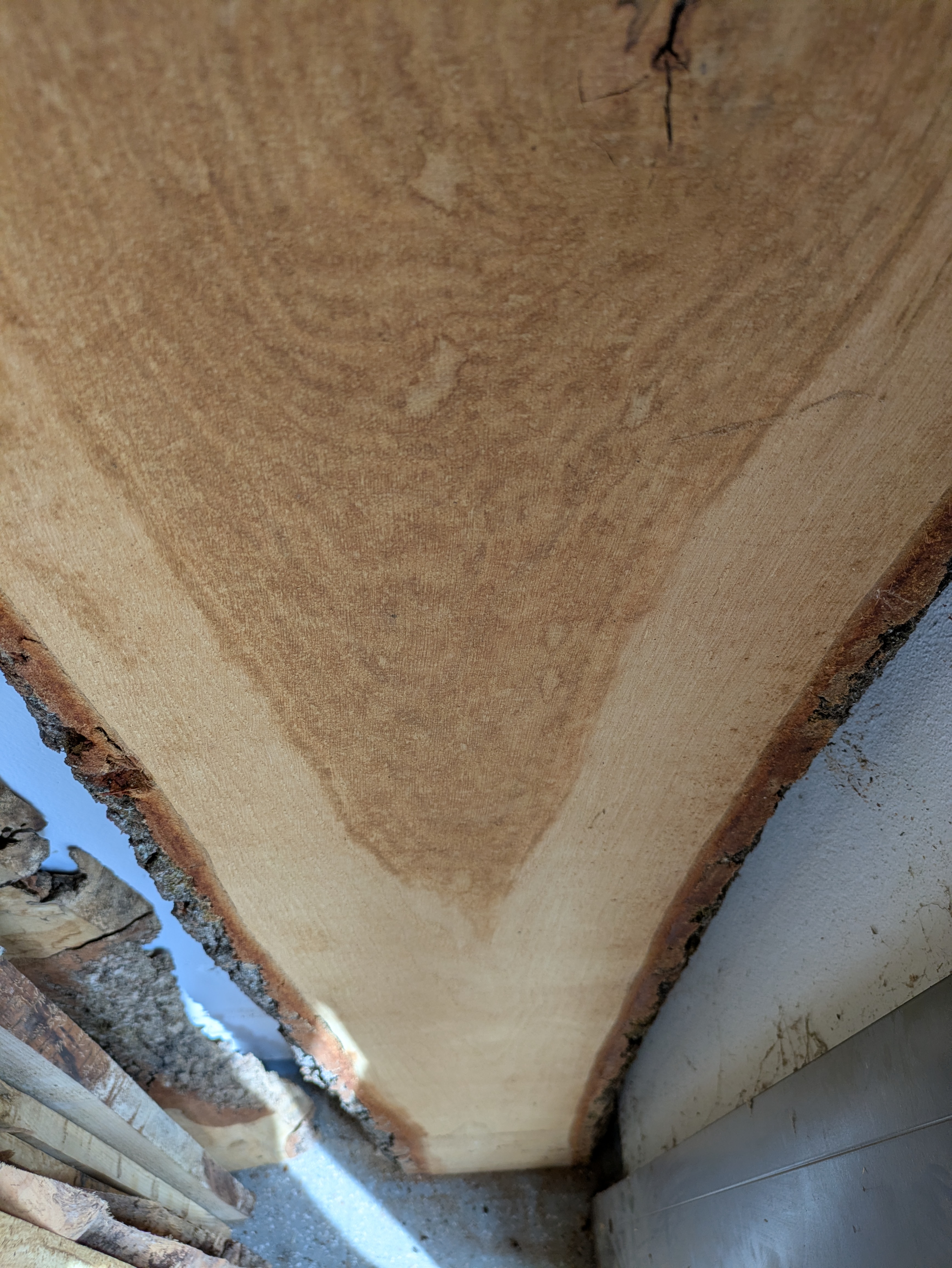 Holzbohle mit Baumkante